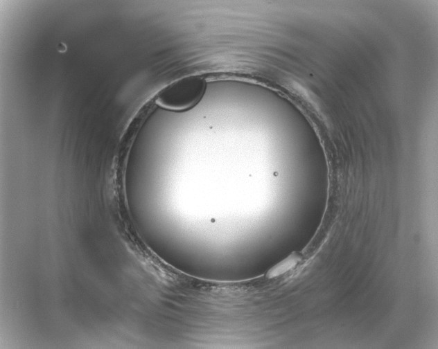 X0000068730875200605051456