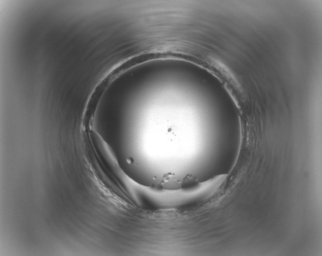 X0000068730876200605051456