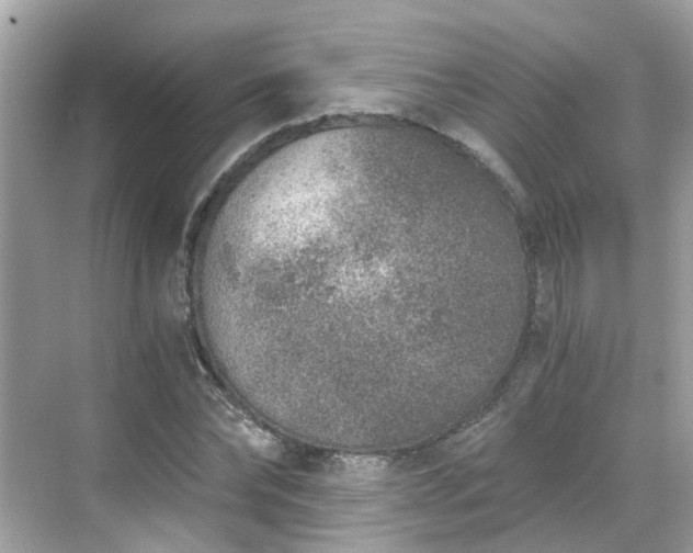 X0000068730878200605051456