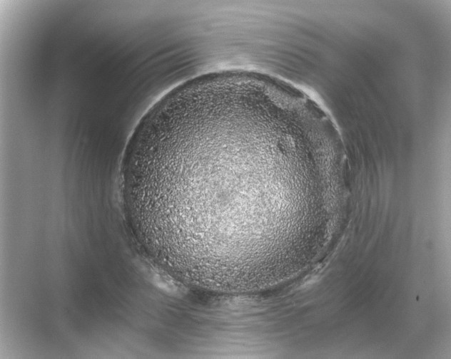 X0000068730879200605051456