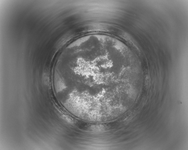 X0000068730882200605051456