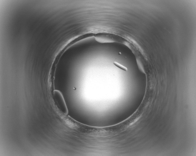 X0000068730885200605051456