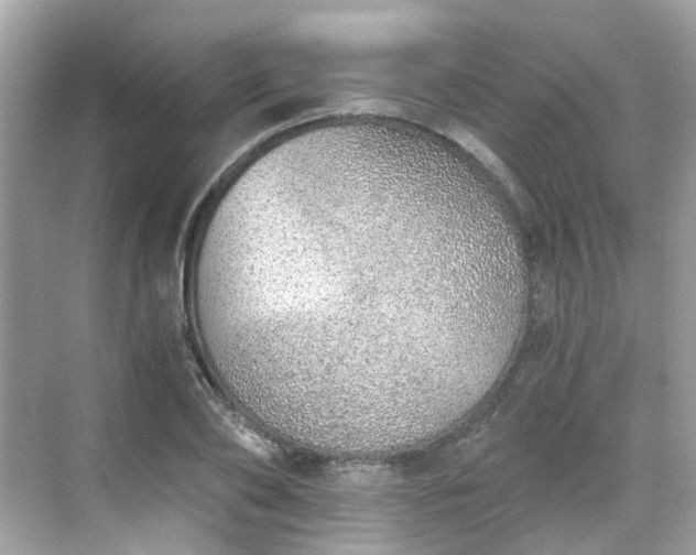 X0000068730886200605051456