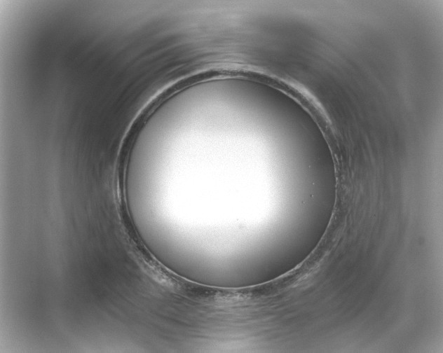 X0000068730887200605051456