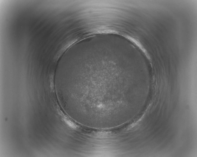 X0000068730889200605051456