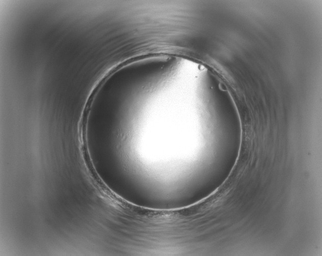 X0000068730891200605051456