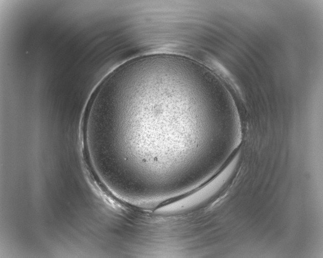 X0000068730892200605051456