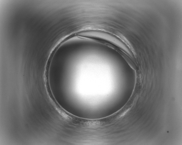 X0000068730893200605051456