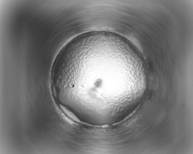 X0000068730895200605051456