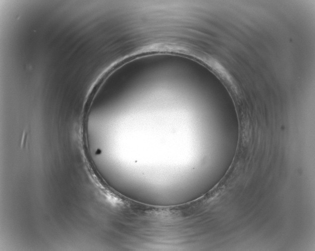 X0000068730896200605051456