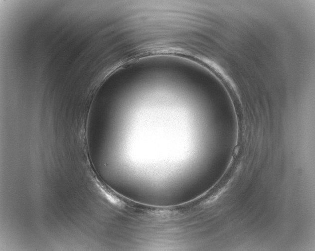 X0000068730897200605051456