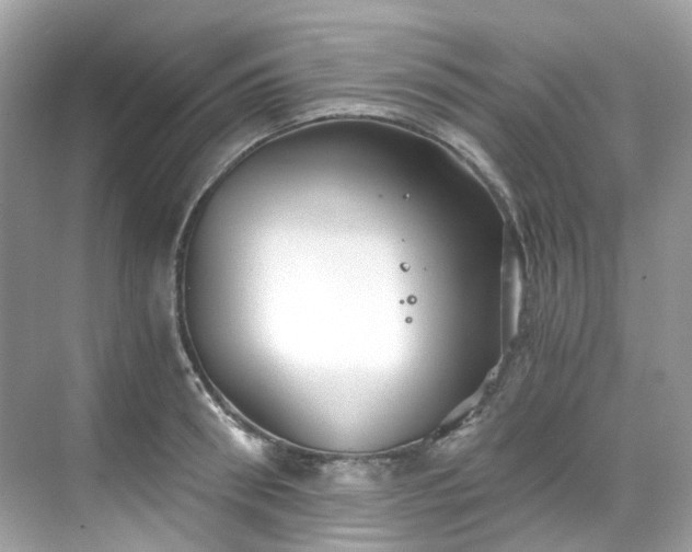 X0000068730898200605051456