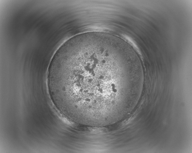 X0000068730899200605051456