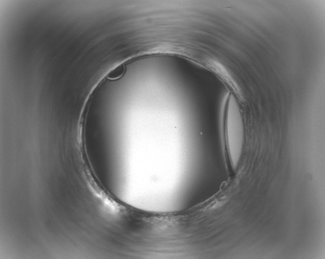 X0000068730900200605051456