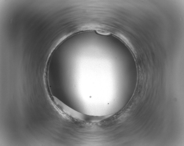 X0000068730901200605051456