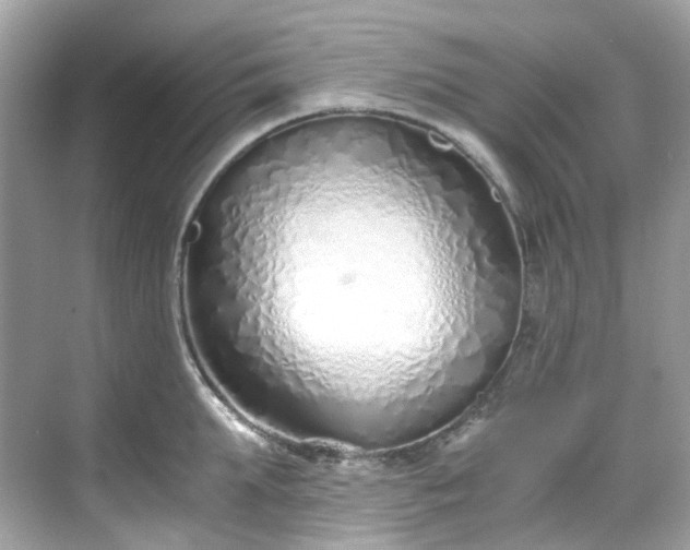 X0000068730903200605051456