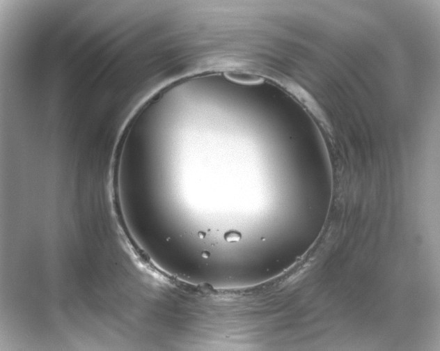 X0000068730904200605051456