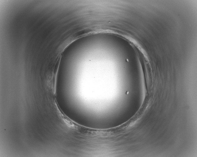 X0000068730905200605051456