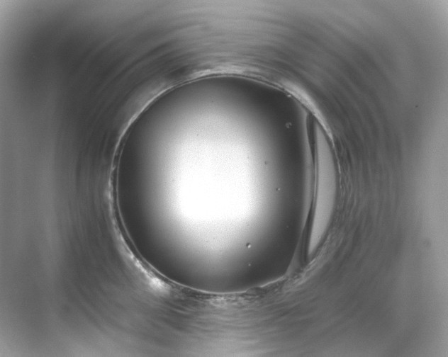 X0000068730906200605051456