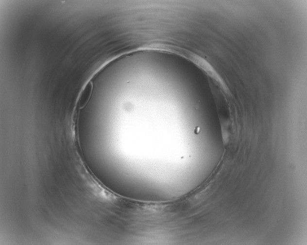 X0000068730908200605051456