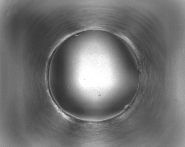 X0000068730910200605051455