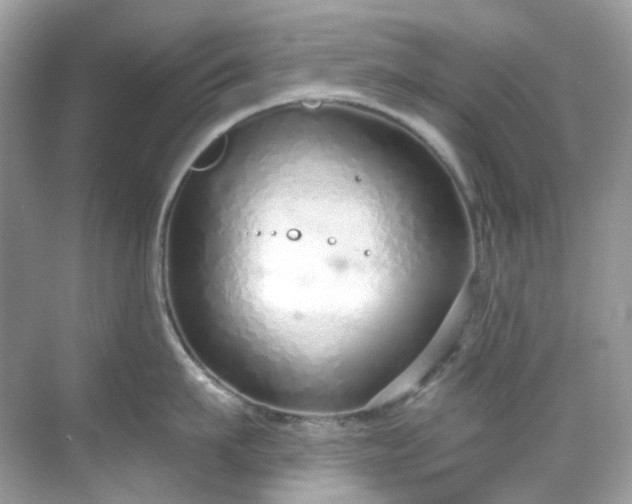 X0000068730911200605051455