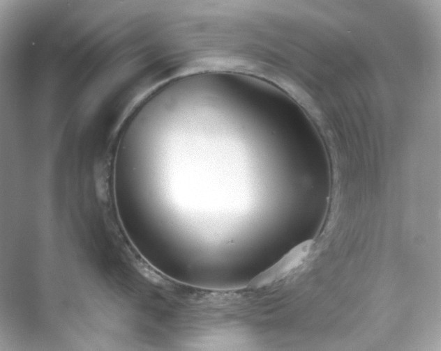 X0000068730912200605051455