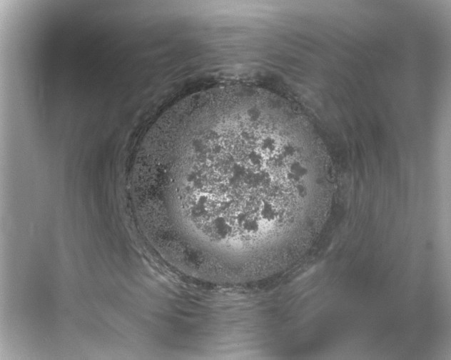 X0000068730913200605051455