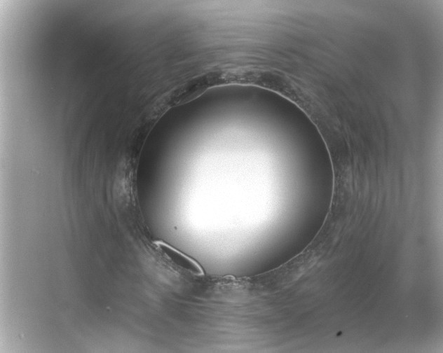 X0000068730914200605051455