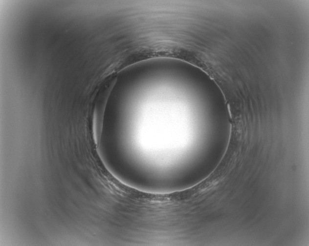 X0000068730916200605051455