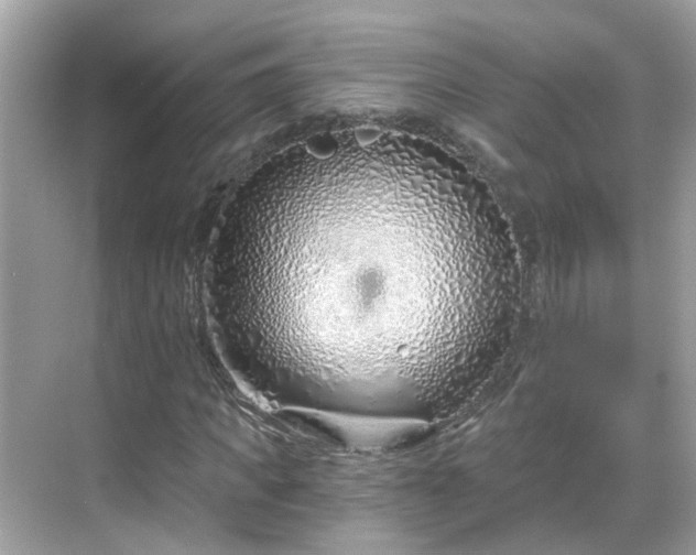 X0000068730917200605051455