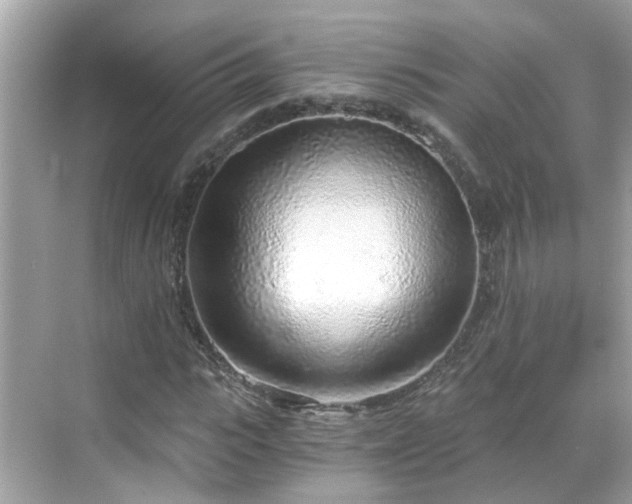 X0000068730919200605051455