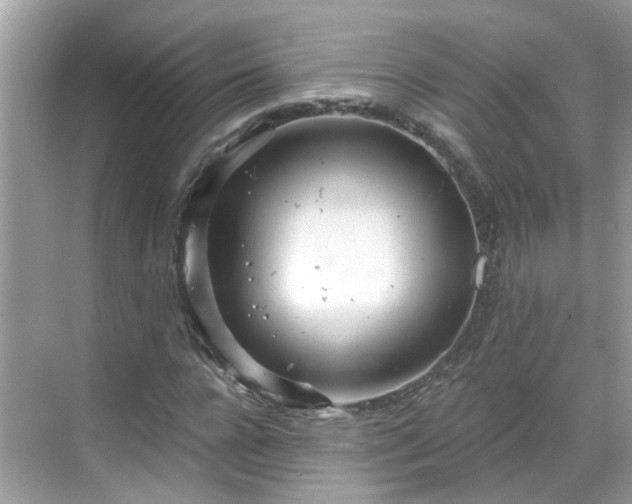 X0000068730920200605051455