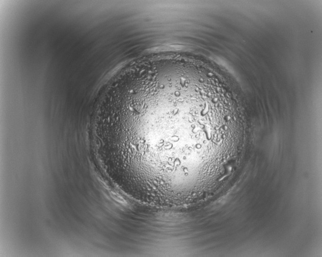 X0000068730921200605051455