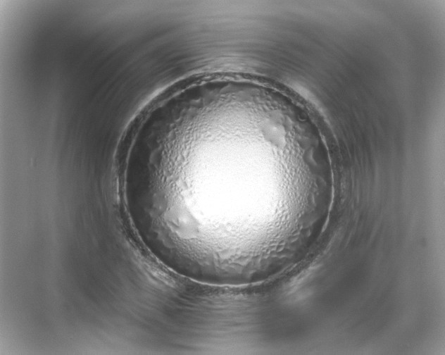 X0000068730925200605051455