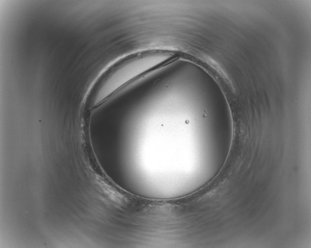 X0000068730926200605051455