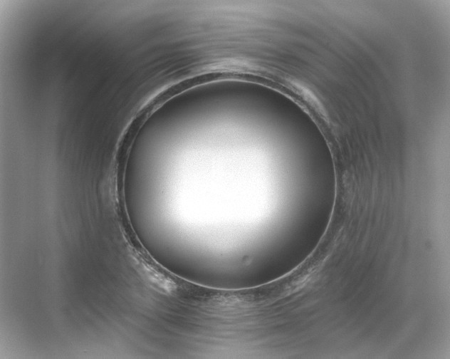 X0000068730931200605051455