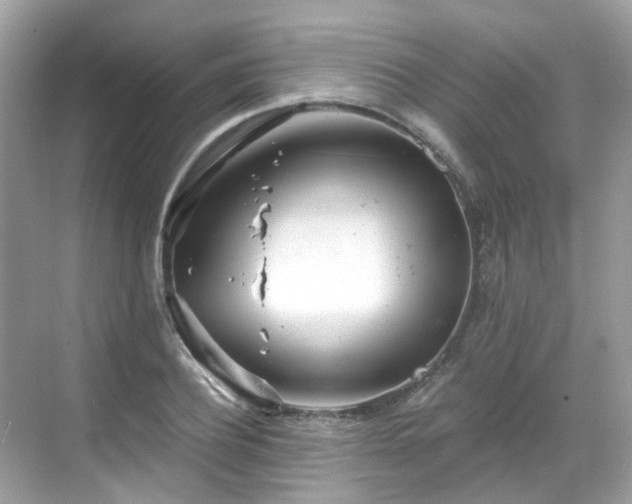 X0000068730932200605051455