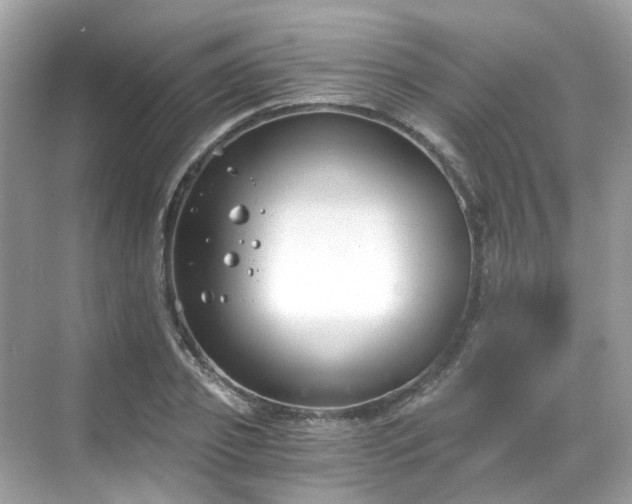 X0000068730933200605051455