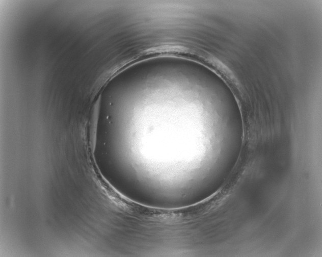 X0000068730937200605051455