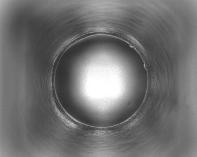 X0000068730938200605051455