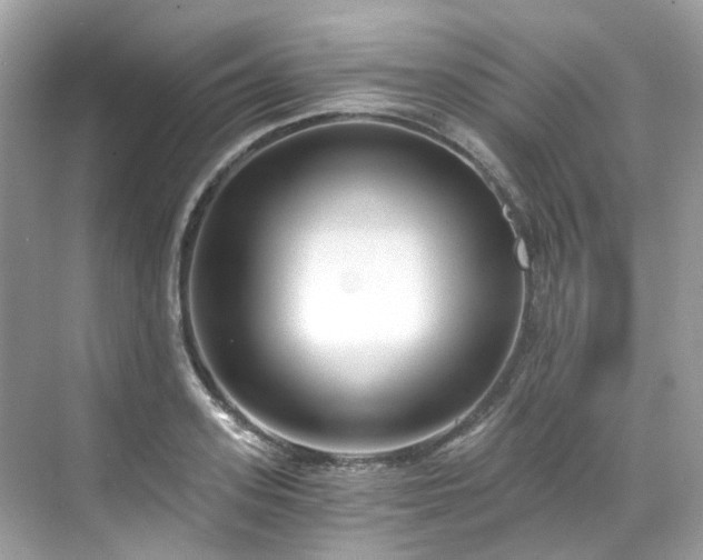 X0000068730939200605051455