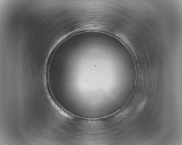 X0000068730941200605051455