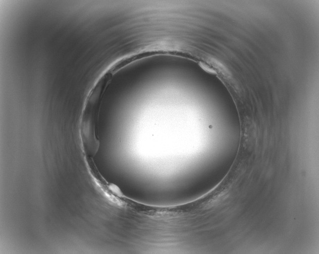 X0000068730942200605051455