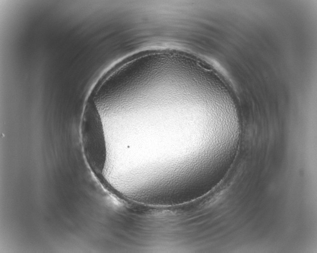 X0000068730943200605051455