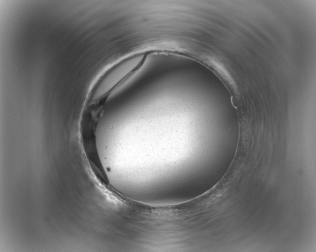 X0000068730944200605051455