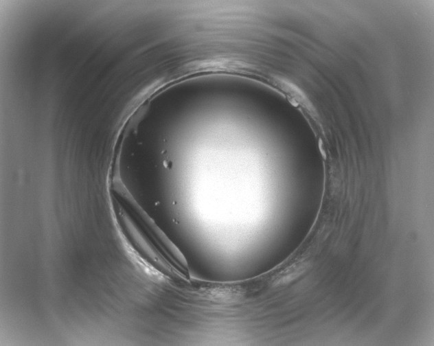 X0000068730946200605051455