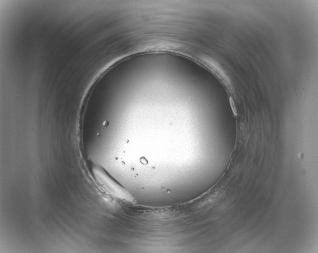 X0000068730948200605051455