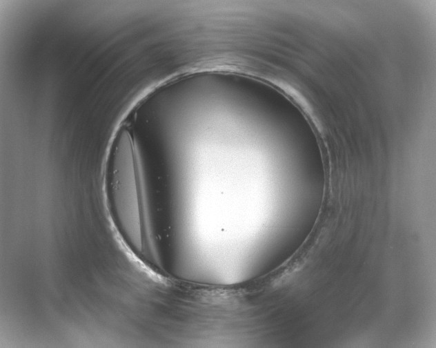 X0000068730949200605051455