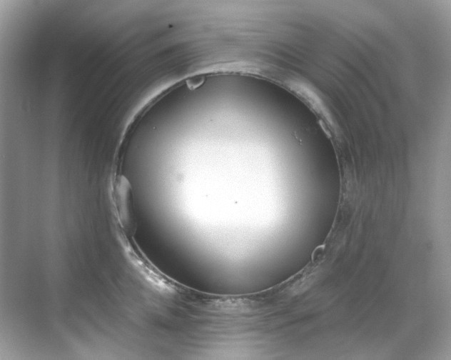 X0000068730952200605051455